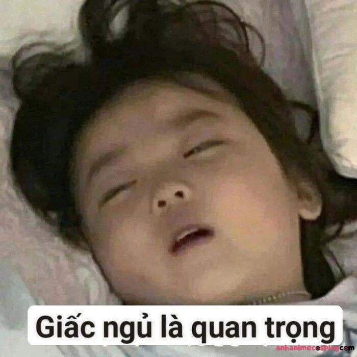 ảnh meme ngủ ngon
